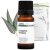 Aroma Labs Eucalipto Citriodora BIO (Eucalyptus citriodora) - 10 mL - Olio Essenziale Chemiotipizzato e Certificato AB - Aroma Labs - Made in France