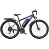DUOTTS C29 Pro Bici Elettrica con Motore 250W, E-Bike Elettrica. M+S Winter