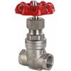 HGETJOHXEM Valvola a saracinesca in acciaio inossidabile SS304 con filettatura femmina da 2 DN50 Valvola a saracinesca passante 1,6 MPa
