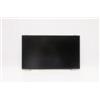 Lenovo Display 14.0 FHD IPS AG - Warranty: 3M