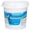 CANDIOLI IST.PROFIL.E FARM.SpA Gastrocure, 2,6 kg