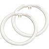 Generico Confezione da 2 lampadine circolari da 5,5 Pollici di Diametro Esterno, 4 Pin Interni, T4 12W 6400K, Sostituzione per Specchio da Trucco, lampade Fluorescenti Rotonde