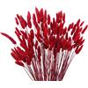 CEWUDA 120 Pezzi Fiori Secchi Decorativi Rossi Naturali Erba di Pampa Secca | Fiori di Pampas Composizione Coda di Coniglio Pampa per Matrimonio Decorazione D'interni Domestica Giardino Festa