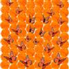 Comebachome 1 set di decorazioni per il giorno dei morti include 50 teste di fiori di calendula e 24 farfalle monarca per la casa indiana Diwali, ghirlanda di ghirlande fai da te, artigianato di Halloween, ghirl