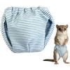 Generico Pannolini Cavia Pantaloncino Bagnato Assorbente Elastico Rapido per Urina | Pannolino Vita Regolabile Casa Viaggio Camping Scoiattolo Cavia Furetto Coniglio Petauro Zucchero