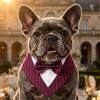 BACH AND BOUJEE cane mosca collare bandana grande animale domestico abito festa nozze | Cani Moschetta Collare Bandana Grande Outfit Animale Domestico Nozze Fidanzamento Festa Compleanno Evento