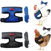 Yphzmtz 2 pettorine per polli con guinzaglio, giubbotto visivo regolabile per polli, polli, anatre, oche, piccoli animali domestici (S)