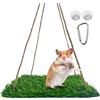 Generico Altalena Erbosa Per - PP PE 25x44cm | Tappeto Altalena | Tappeti Per Uccellis Di Taglia Grande | Posatoio Naturale Con Ganci Pers Pappagalli, Parrocchetti E Giochi
