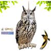Giwoatln Dissuasori Per uccellis Gufo, Spaventapasseri A Forma Di Gufo | Dissuasori Per Piccioni, Spaventapasseri Per Giardino Owl Per uccellis, Impermeabile, Decorazione Per Patio, Balcone