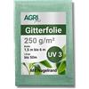 AGRI plus D&S Vertriebs GmbH - 2 x 10 m di pellicola per serra da giardino, resistente ai raggi UV, resistente alle intemperie e al gelo