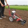 HINOPY Motozappa a benzina 63 cc, 4 tempi, 4 CV, motozappa da giardino, coltivatore, fresa per terreno, con ruote, motozappa per la lavorazione del suolo, profondità di coltivazione di 10 cm, avviamento a