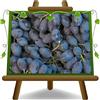 EURO PLANTS VIVAI Vite Black Magi uva da tavola Età 2 Anni | Pianta da Frutto Antico su Vaso ø 20 cm - Altezza 160~180 cm