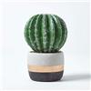 HOMESCAPES Piccolo Cactus Artificiale Echinocactus Grusonii in Vaso a righe 18 cm