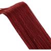 LIZHAYG Tenda a Fili 300x200 cm Tende a Filo Schermo Nastro Stringa Divisore Cieco for Soggiorno Porta Parete Finestra Pannello Tenda Nappa Tenda a Frange(Burgundy,300x200cm)