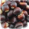 Gresorth 50 PCS Artificiale Castagna Falso Noci Realistica Modello Casa Cucina Decorazione