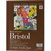 Strathmore Bristol Serie 400, Carta, Pergamena, 2 Strati, 9x12