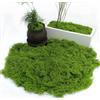 Pandiui23 200 grammi Muschio Artificiale Decorazione Simulazione Muschio Pianta Verde Artificiale Maualitá Simulazione Erba Artificiale Muschio per Decorazione Artigianato (1, Verde, 200 grammi)