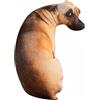 JULAN Cuscino di peluche 3D a forma di cane Shar-Pei, 50 cm, simulazione 3D, cuscino per dormire, cuscino per la cameretta dei bambini, decorazione per la cameretta dei bambini, regalo a letto (cane)