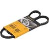 CONTITECH 11,9 x 1000ld Cinghia trapezoidale Continental