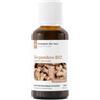 La Compagnie des Sens Zenzero biologico (Zingiber Officinale) - Tintura Madre - Estratto idroalcolico concentrato