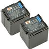 DSTE 2-Pacco Ricambio Batteria per Panasonic VW-VBG260 AG-AC7 AG-AF100 AG-HMC40 AG-HMC80 AG-HMC150 HDC-HS250 HDC-HS300 HDC-HS700 HDC-SD600 HDC-SD700 HDC-SDT750 HDC-TM300 HDC-TM700 SDR-H80