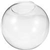 HOLIDYOYO Paralume in Vetro Globo Trasparente Ricambio Diametro 150mm | Semplice e Delicato, Facile da Installare, Pratico e Sicuro, Ingresso 70mm, Forma Sferica