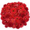 Komergave 50 teste di fiori artificiali da 2-15 cm per decorazioni per torte, A