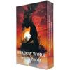 PremiumTech Carte Oracolo Shadow Work 56 Carte 12x7 cm Mazzo Divinazione Inconscio