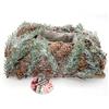 CREARE ITALIA SRL PIANTA AGHI PINO CON PIGNE 9X32X23CM INNEVATO