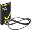 RIDEX PLUS 305P0062P Cinghia servizi Compatibilità con AUDI A3 Sportback 8PA