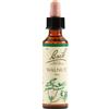 SCHWABE PHARMA ITALIA Schwabe Pharma Walnut Fiori Di Bach Original Rimedio Fitoterapico 20ml