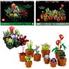 LEGO Icons Bundle Piante: Include Piante Grasse(10309) e Piantine (10329), Set Collezione Botanica con Fiori e Piante Artificiali, Artigianato per Adulti, Regalo di San Valentino per Lei o per Lui