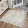 HUGEAR Piccolo Tappeto Ingresso Interno 60x90cm Talpa Tappeti | Lavabile in Lavatrice,Pelo Corto,Antiscivolo,Cucina,Camera da Letto,Entrata,Scendiletto,Ufficio,Vintage