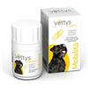 Vettys Integra Mobilità Cane - Integratore per il Benessere Articolare - 30 Compresse Masticabili