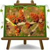 EURO PLANTS VIVAI Pistacchio (Pistacia Vera) Maschio C Special Vaso 26 cm | Pianta da frutto - Altezza 100-120 cm
