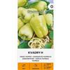 Žalia stotelė Zalia stotele | Peperoni - Semi di limone Kvadry H | Semi di ortaggi | Semi di piante | Semi di peperone | Ibrido precoce, resistente, molto produttivo, dolce | 1 confezione