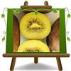 EURO PLANTS VIVAI Actinidia Kiwi Jinfeng Impollinatore Maschio | Per kiwi giallo Jinfeng - Vaso 20 cm Altezza 170 cm
