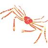 ZUNOXAZ Animale Marino Granchio Rosso per Bambini in Plastica | Decorazione per Casa e Feste, Stile Realistico e Vivace, Forma di Granchio, Portatile e Educativo