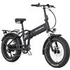 F.lli Schiano Bici Elettrica Pieghevole 20, Batteria 624Wh, Fat Bike FS20 | Bici Elettrica Uomo Donna, con Motore 250W 50Nm, Batteria Rimovibile, Ricarica USB-C