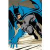 DC Comics Batman by Neal Adams: Absolute Edition 1967-1970
