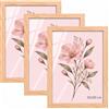 Velora Home&Living VELORA H&L H&L Set da 3 Cornici Foto Legno naturale 35 x 50 cm - Cornice in Legno con Plexiglass Trasparente, Portafoto da Parete, Cornice per Poster, Fotografie, Puzzle, Diplomi e Certificati