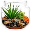 KORAT Terrarium Con Pianta Grassa Artificiale In Vaso di Vetro Trasparente, 13 x 15,5 cm, Composizione Decorativa Con Pietre e Sabbia, Piante Artificiali da Interno Per bagno, Camera da letto, Cucina