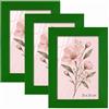 Velora Home&Living VELORA H&L H&L Set da 3 Cornici Foto Verde A5 15 x 21 cm - Cornice in Legno con Plexiglass Trasparente, Portafoto da Parete, Cornice per Poster, Fotografie, Puzzle, Diplomi e Certificati