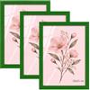 Velora Home&Living VELORA H&L H&L Set da 3 Cornici Foto Verde 20 x 25 cm - Cornice in Legno con Plexiglass Trasparente, Portafoto da Parete, Cornice per Poster, Fotografie, Puzzle, Diplomi e Certificati