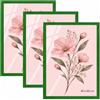 Velora Home&Living VELORA H&L H&L Set da 3 Cornici Foto Verde 40 x 60 cm - Cornice in Legno con Plexiglass Trasparente, Portafoto da Parete, Cornice per Poster, Fotografie, Puzzle, Diplomi e Certificati