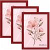 Velora Home&Living VELORA H&L H&L Set da 3 Cornici Foto Rosso 35 x 50 cm - Cornice in Legno con Plexiglass Trasparente, Portafoto da Parete, Cornice per Poster, Fotografie, Puzzle, Diplomi e Certificati