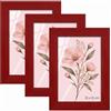 Velora Home&Living VELORA H&L H&L Set da 3 Cornici Foto Rosso A5 15 x 21 cm - Cornice in Legno con Plexiglass Trasparente, Portafoto da Parete, Cornice per Poster, Fotografie, Puzzle, Diplomi e Certificati
