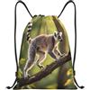 Zelinge Zaino con coulisse Borse Sport Palestra Sackpack, Scheletri sulla | Borsa a tracolla per sport, nuoto, yoga