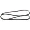 Bosch 6PK1870 - Cinghia trapezoidale a nervature - 1987945980 | Compatibile con: AUDI A6 C4, A6 C4 Avant, A8 D2, BMW 1, 1, 1 Cabriolet, 1 Coupe, 3, 3, 3 Cabriolet, 3 Cabriolet, 3 Compact