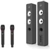 EMPIRE SISTEMA 2.0 CON RADIOMICROFONO PRO EDGE 2 MIC